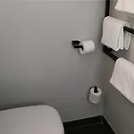Ibis 3*
