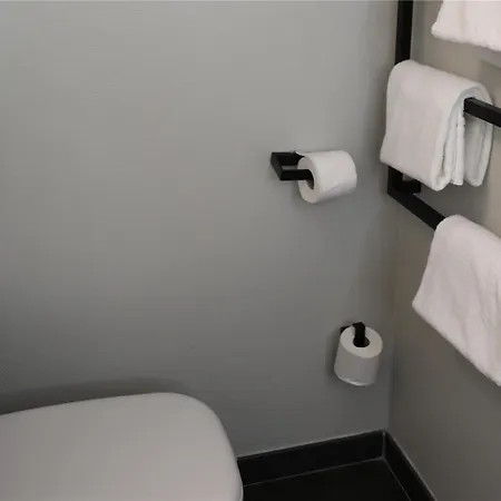 Ibis 호텔 3*