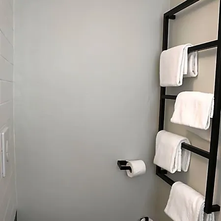 Ibis